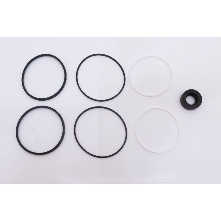 TFP 100 TAPER SHAFT VITON SEAL KIT