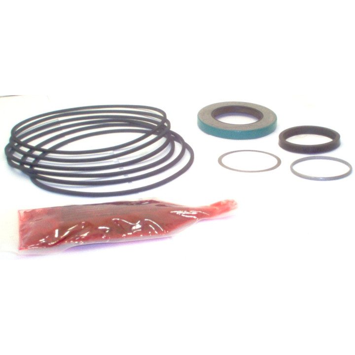 TRW TJ MOTOR SEAL KIT