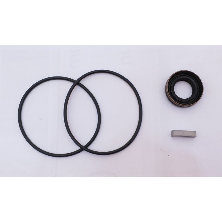 HM30/50 SEAL KIT