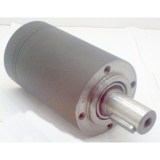 COMPACT 50 HI TORQUE MOTOR