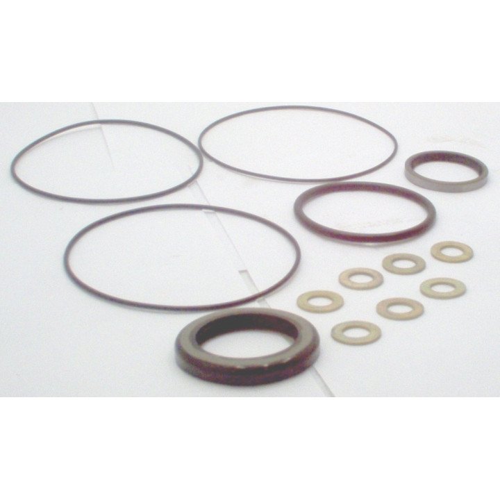 SEAL KIT FOR DANFOSS OMN MOTOR**