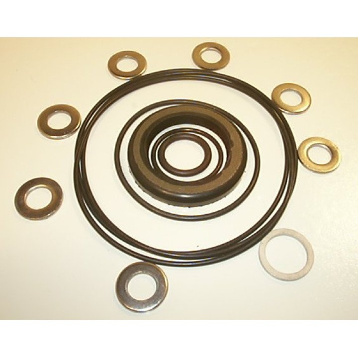 SEAL KIT FOR OMPW MOTOR - 151-1177
