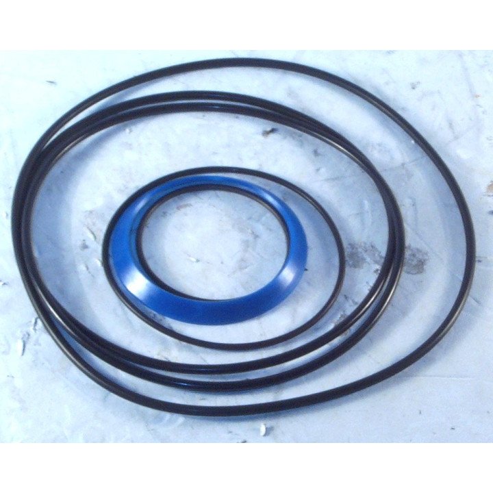 DANFOSS OMVS SERIES 1 SEAL KIT