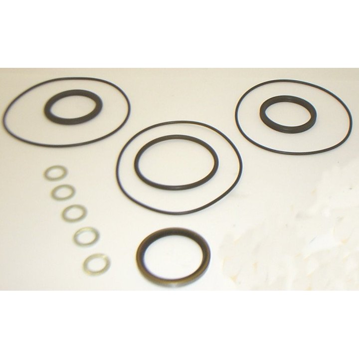 SEAL KIT FOR WCM SERIES MOTOR
