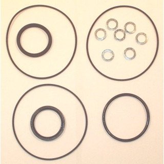SEAL KIT FOR WVM PRE NOV 1999
