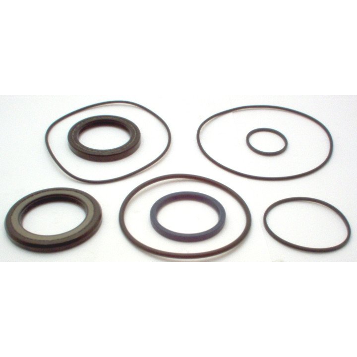 SEAL KIT  MPS MOTORS (EPMS) 8 Pcs