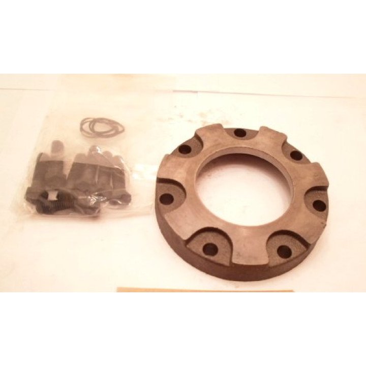 PILOT RING + BOLTS & SEALS