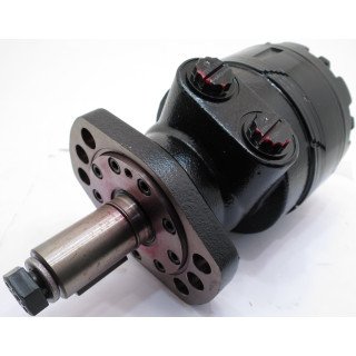 300 CC/REV MOTOR - 1.1/4''
