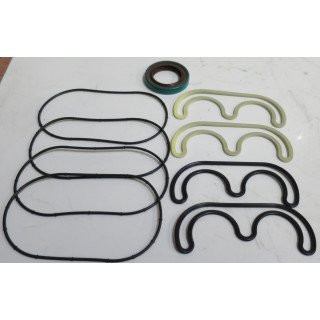 D SERIES TANDEM PUMP WITH 1'' SHAFT