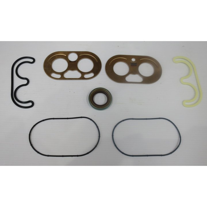D SER SINGLE 17 & ABOVE SERVICE KIT