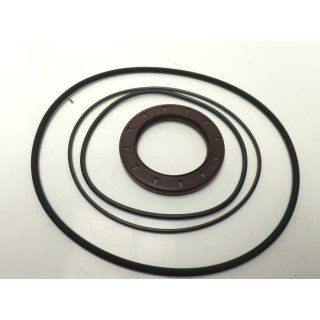 VITON SEALKIT FOR F12-040/060