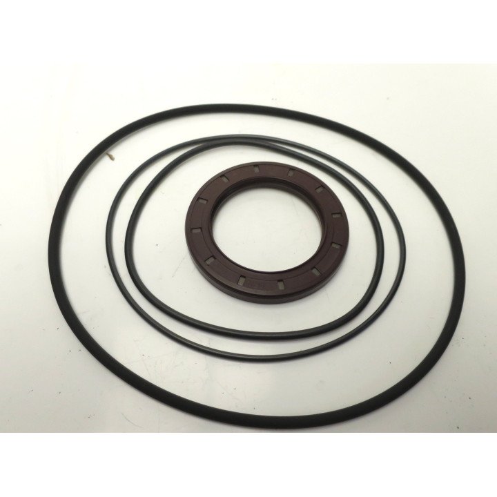 VITON SEALKIT FOR F12-040/060
