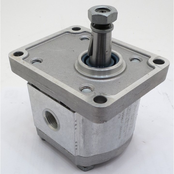 CASAPPA PUMP No. 0199862J