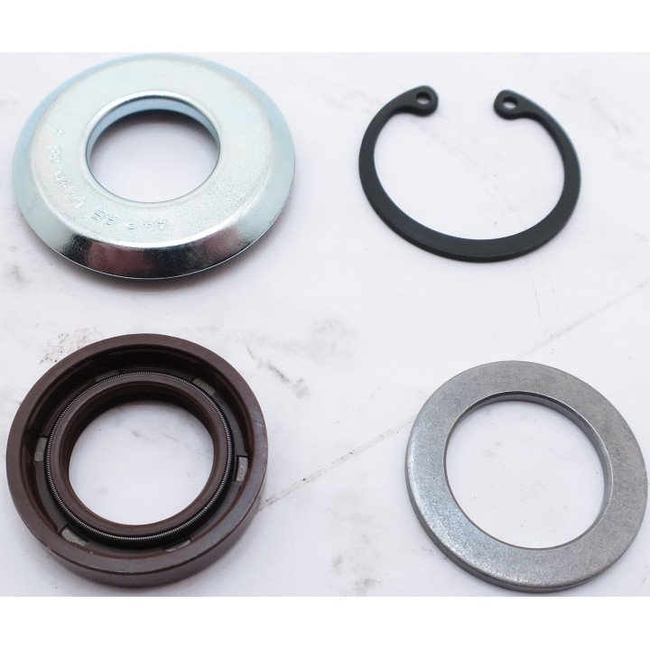 SNM2Y SHAFT SEAL KIT  221.20.046.0K