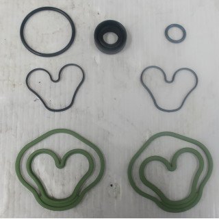 PGP502 VITON SEAL KIT