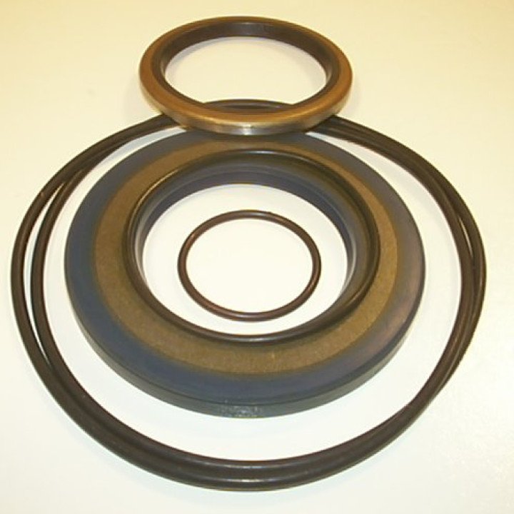 SEAL KIT FOR WMSW MOTORS