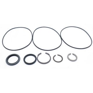 PARKER NICHOLS SERIES 110A SEAL KIT