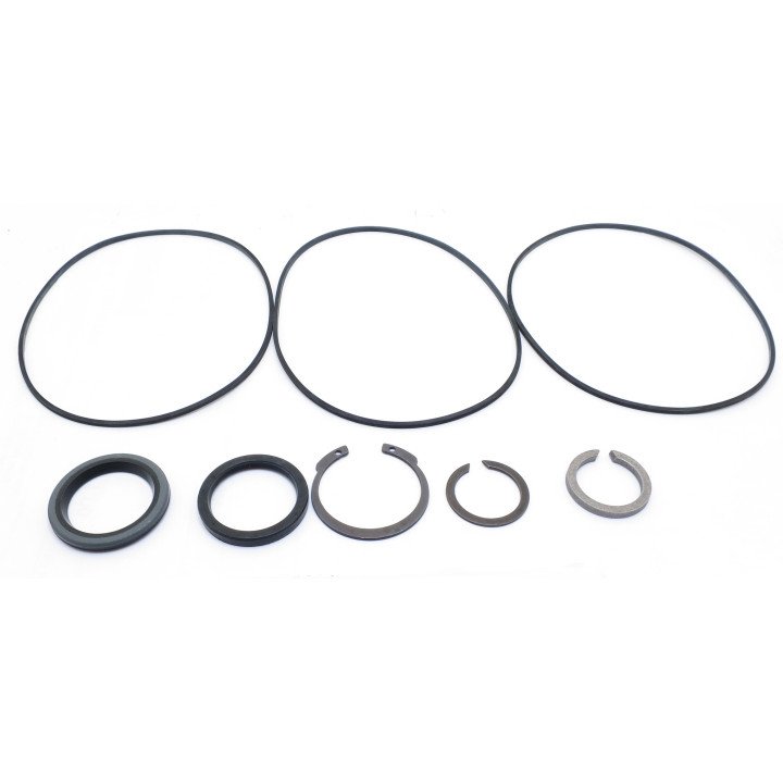 PARKER NICHOLS SERIES 110A SEAL KIT