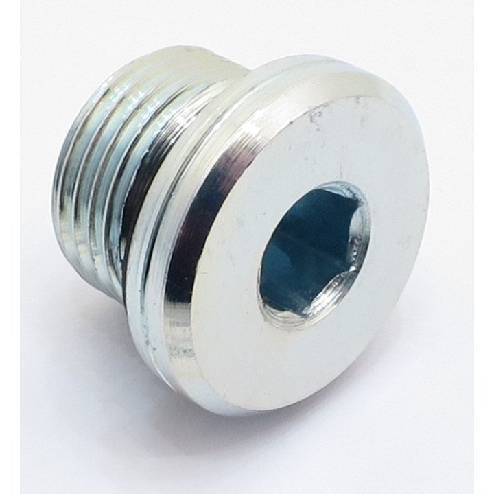 M18 x 1.5 SOCKET HEAD BLANKING PLUG
