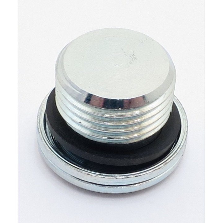 M18 x 1.5 SOCKET HEAD BLANKING PLUG