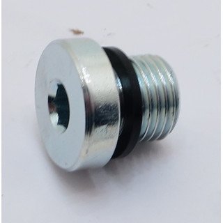 1/4 BSP SOCKET HEAD BLANKING PLUG