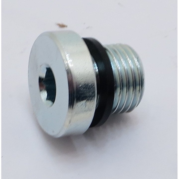 1/4 BSP SOCKET HEAD BLANKING PLUG
