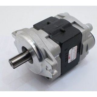 PUMP No. SGP1A315D2HH1L043C