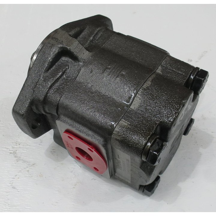 P30A196BEOP17-65 COMMERCIAL PUMP