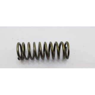 SWASHPLATE SPRING FOR 70423