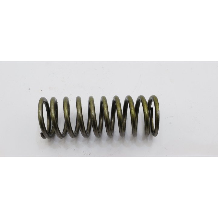 SWASHPLATE SPRING FOR 70423