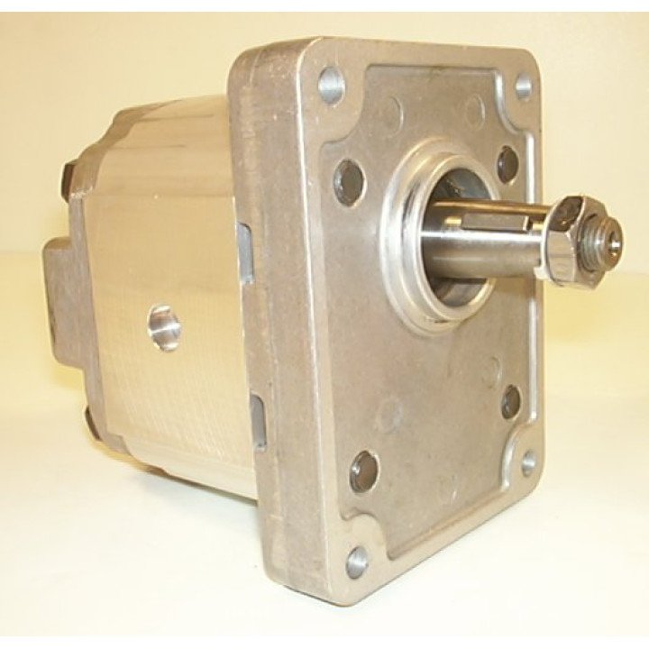 1MR 12.01CC/REV STD GEAR PUMP**