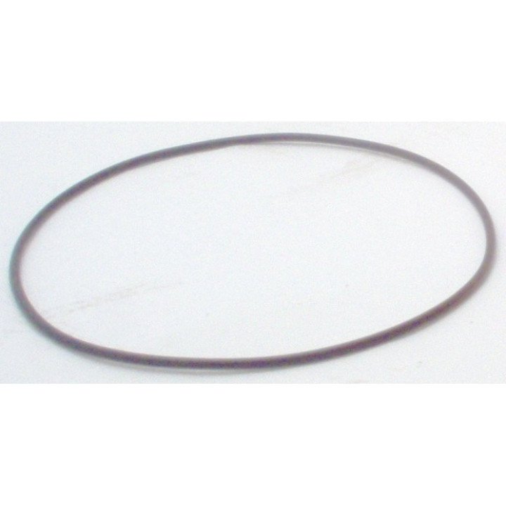 AA10V 120x2.5 NBR OR  FOR 00969391