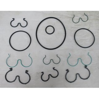 550LG38334002 SEAL KIT