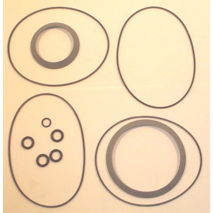 CHAR-LYNN 10000 SERIES REAR SEAL
