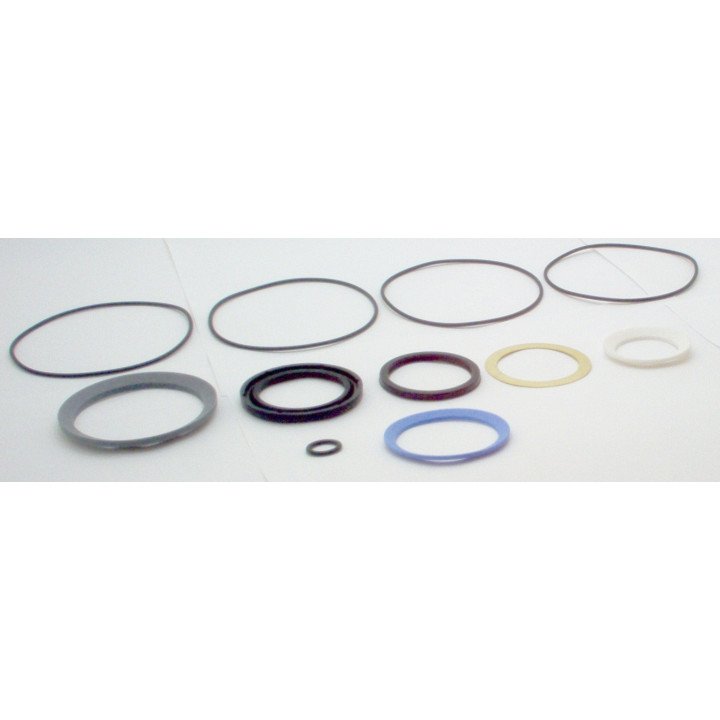 CHAR-LYNN COMPACT 4000 SEAL KIT