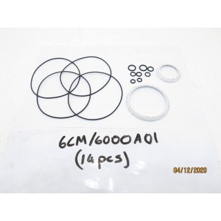 CHAR-LYNN 6000 / 112  BODY SEAL KIT