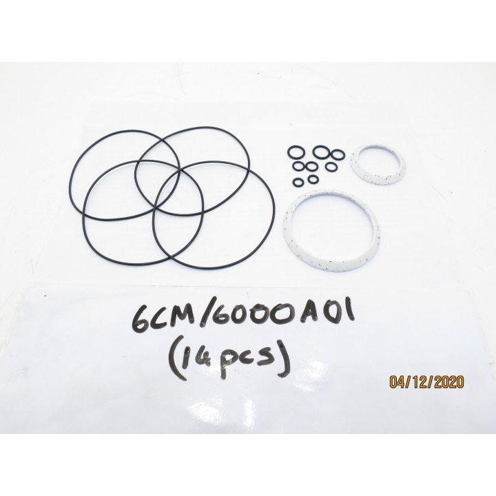 CHAR-LYNN 6000 / 112  BODY SEAL KIT