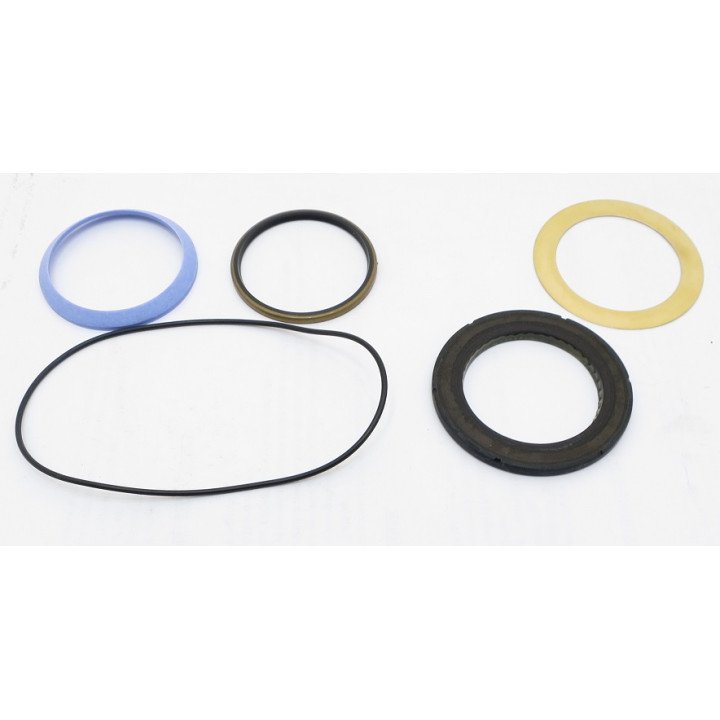 CHAR-LYNN 6000 SHAFT END SEAL KIT**