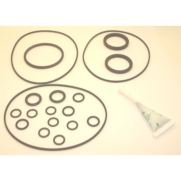 CHAR-LYNN 'S' SERIES 008 SEAL KIT