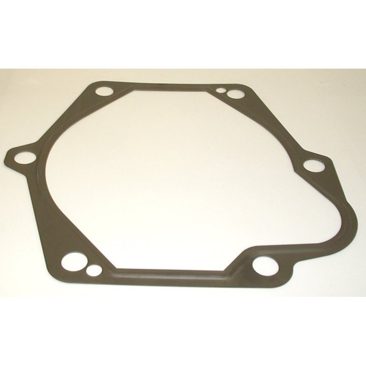 PVB 20/29 GASKET  245976N