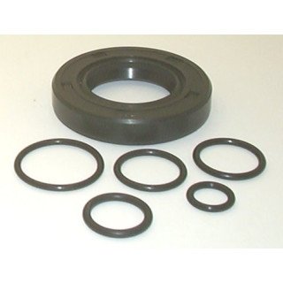PVB 5/6 STD SEAL KIT  919191N