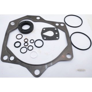 PVE19 / 21 SEAL KIT (VITON SHAFT S)