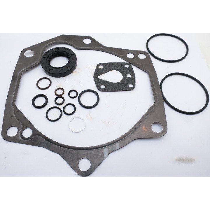 PVE19 / 21 SEAL KIT (VITON SHAFT S)