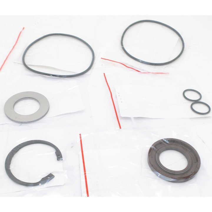 F11-019 (H) SAWMOTOR PTFE SEAL KIT