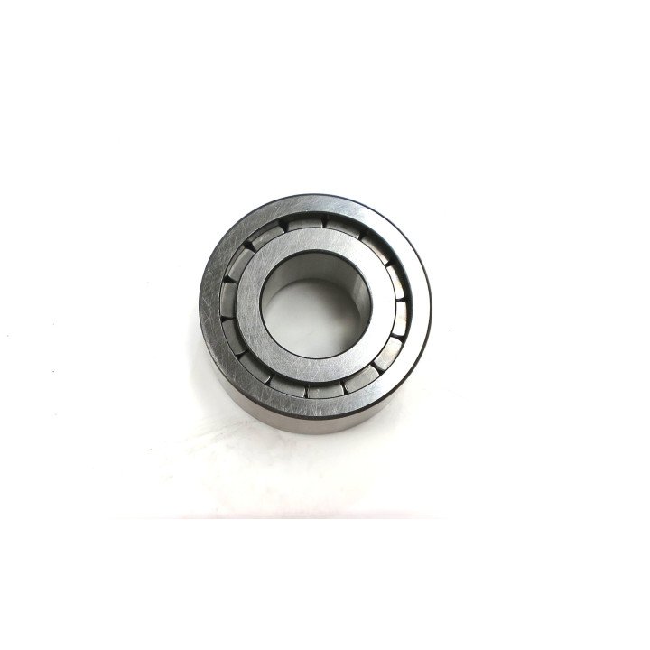 A10VG28/10 FRONT BEARING