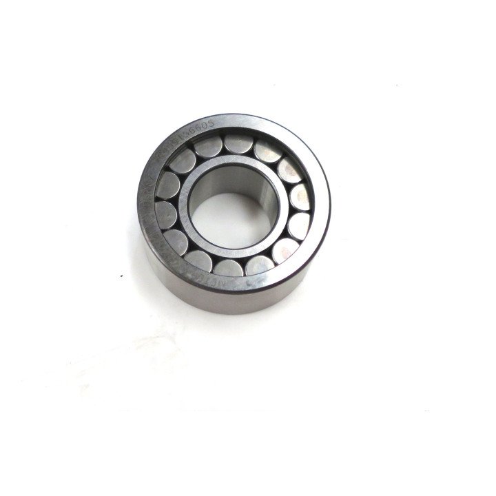 A10VG28/10 FRONT BEARING