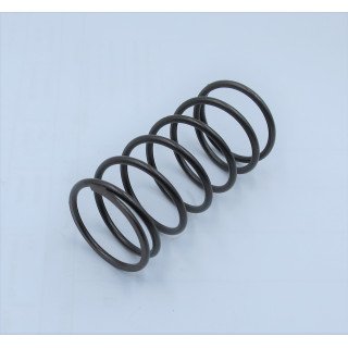 L + K BIAS SPRING - SWASHPLATE