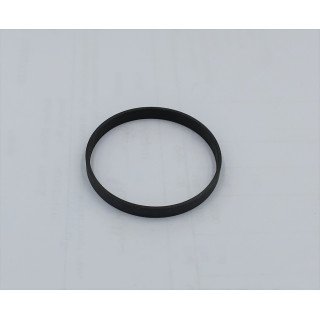SPV2 / SMF2 33cc  BEAR PLATE P RING