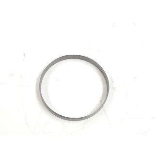 SPV2 / SMF2 119cc  BEAR PLATE P RNG