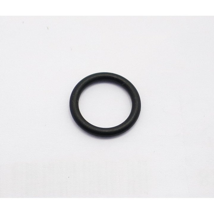 PGP511 1MX/1MR CHECK VALVE O RING